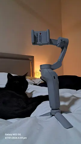 Phone stabilizer and stand