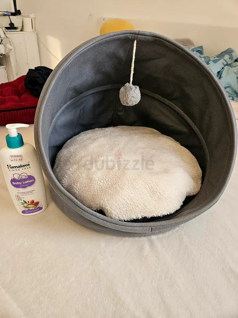 Cat bed65073399697922112