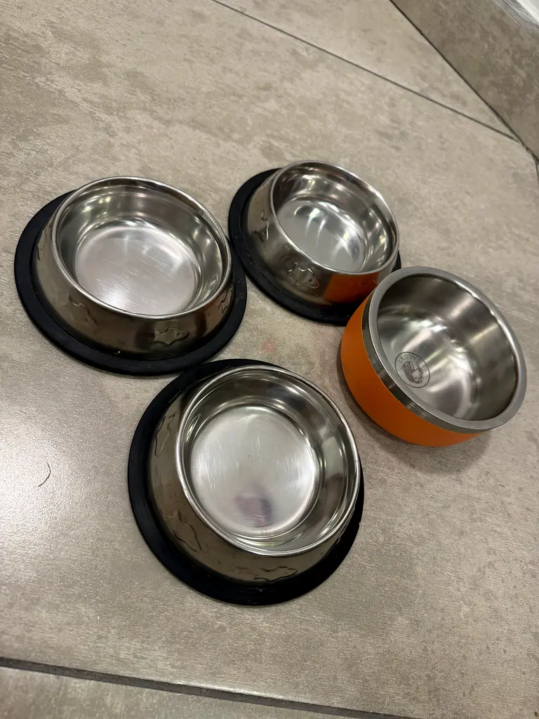 Articles for cats/dogs65073399739906113