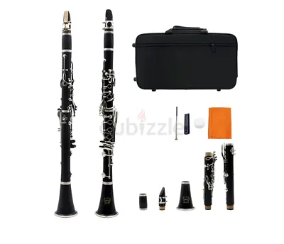 Professional Clarinet Set with Accessories