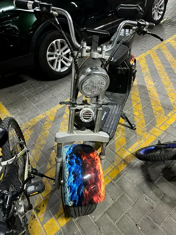 Electric Scooter with Stylish Design