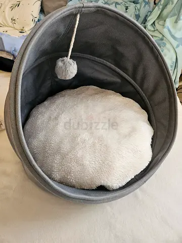 Cat bed