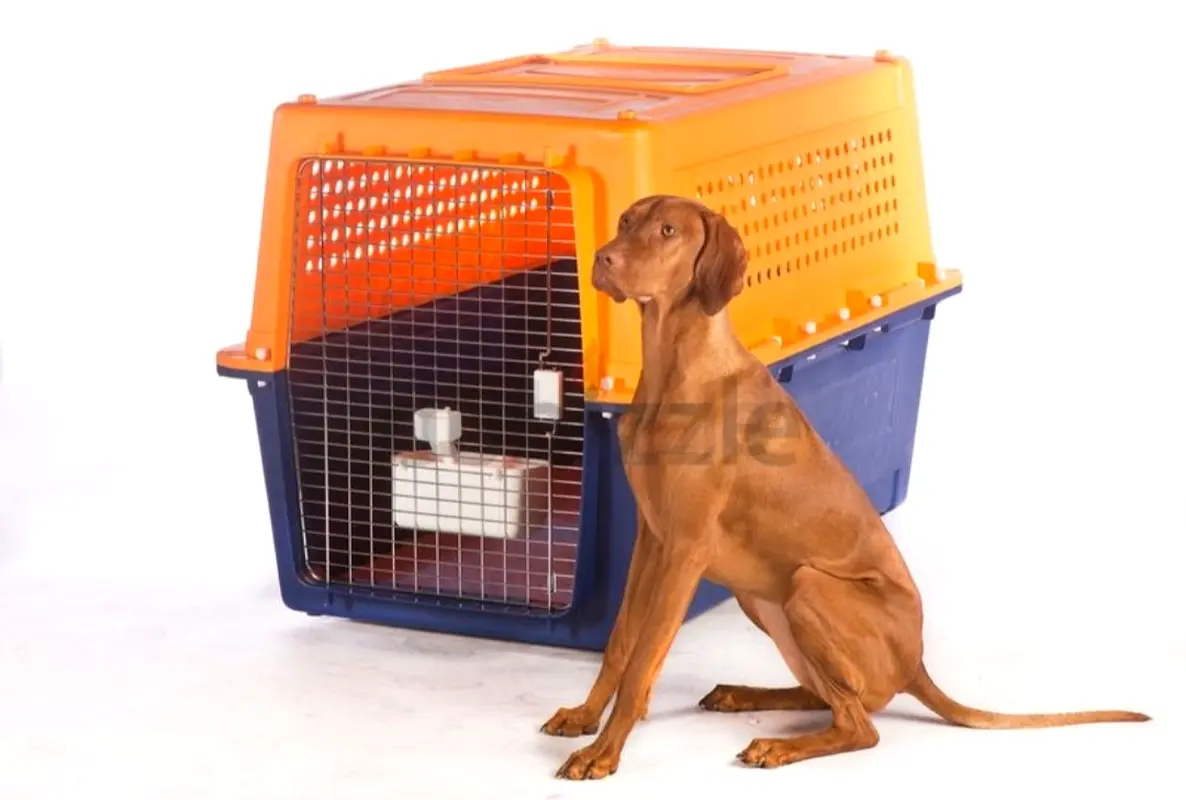 Dogs carriers light weight