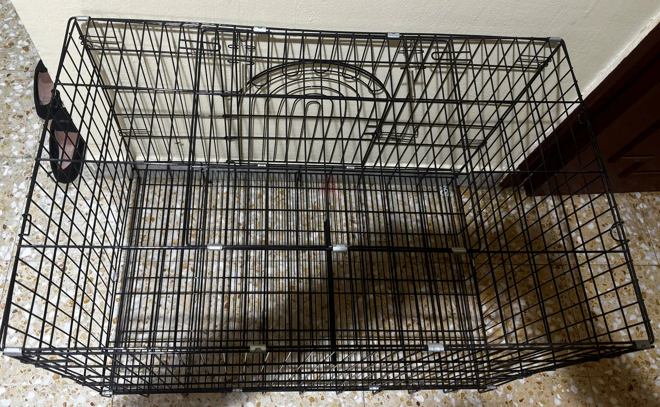 Cat cage big size good condition65073399665665111