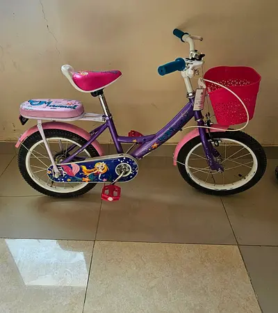 Colorful Kids Bicycle with Princess Theme
