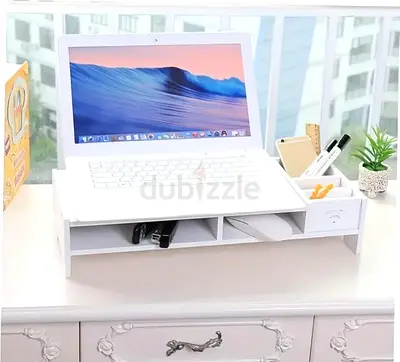 Ergonomic Monitor/Stand with Storage