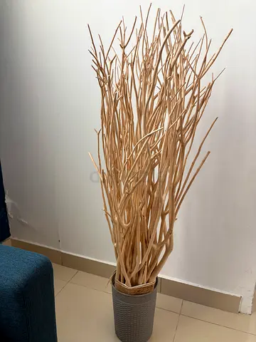 Elegant Decorative wooden branches