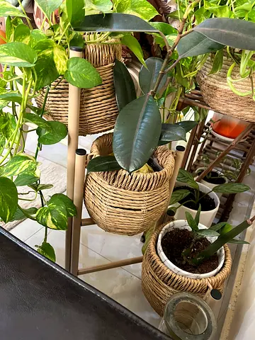 Stylish Woven  Pots with Stand(plants not included)