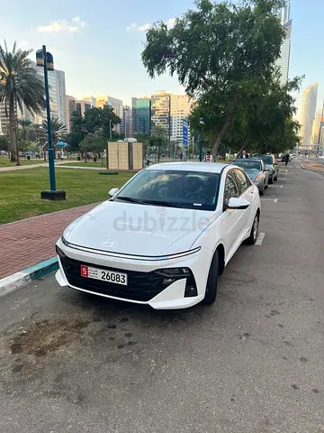 Economic Hyundai Accent For Rent . Tabby/Tamara Accepted