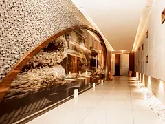 Ready SPA Business on Main Jumeriah 1 Road: Spacious Villa Size