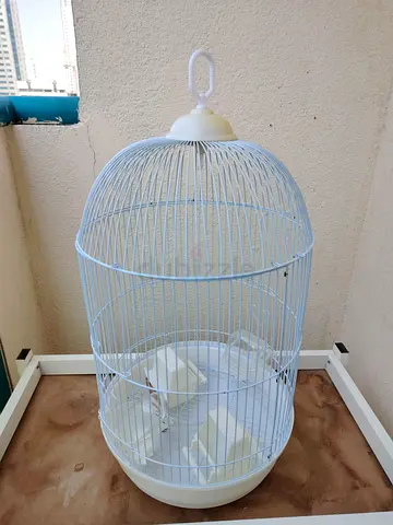 Bird cage