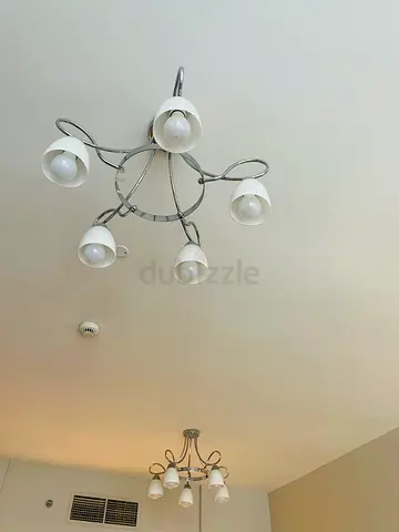 Modern Ceiling Light Fixture - Stylish  Functional