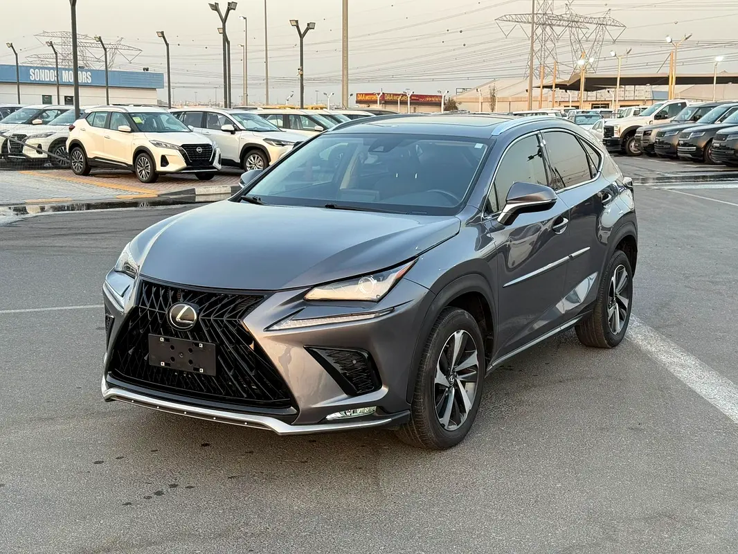 Lexus NX-Series 2020 — photo 1 of 18