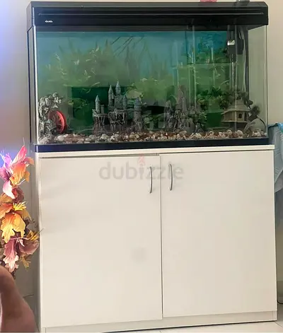 Stylish Aquarium with Decorative Castle