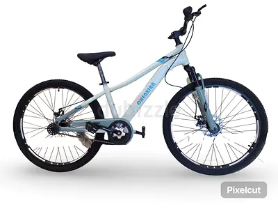 Brand new mountain bicycle
