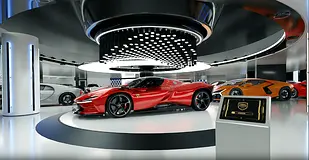 We are looking investor for used car trading