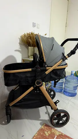 Stylish and Versatile Baby Stroller