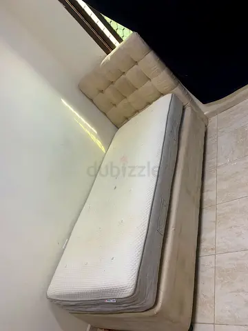 العين