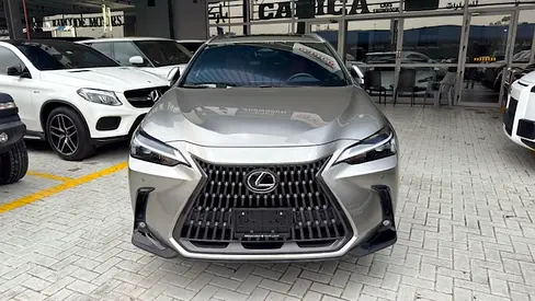Lexus NX350 2025 GCC with dealer warranty