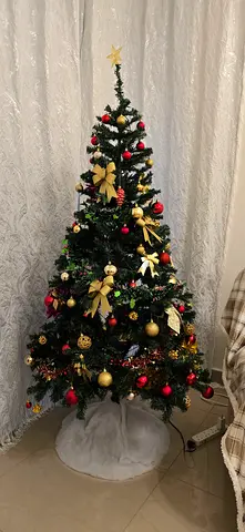 Christmas Tree with decoration
