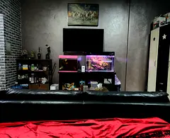 Studio to share with Indian Executive BACHELORS in Spain cluster International city From April.