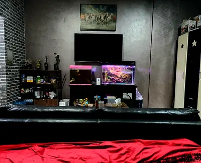 Studio to share with Indian Executive BACHELORS in Spain cluster International city From April.