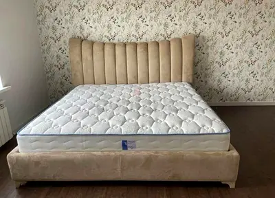 Elegant Plush Bed Frame with Comfortable Mattress