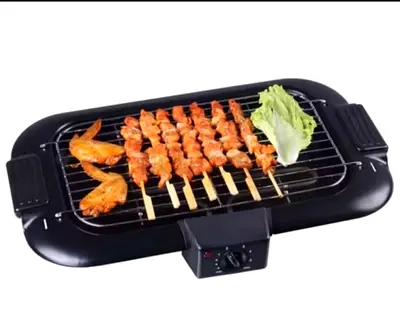 Electric Grill for Delicious BBQs