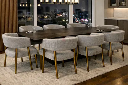 Modern Dining chairs bought from sunpan
