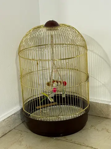 Bird cage