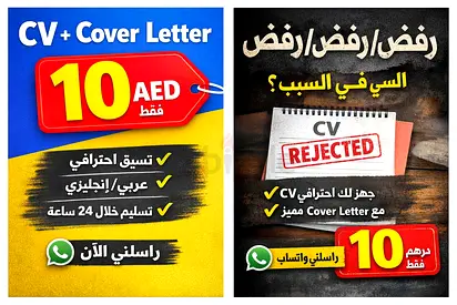 Professional CV  Cover Letter Servi