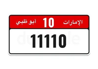 11110 code 10