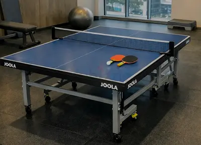 Joola World Cup table tennis for sale