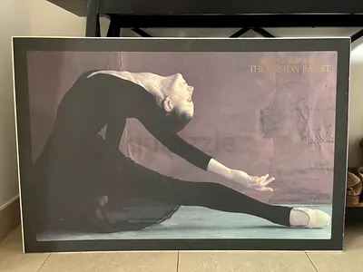 Harvey Edwards, The Boston Ballet Black Swan Print
