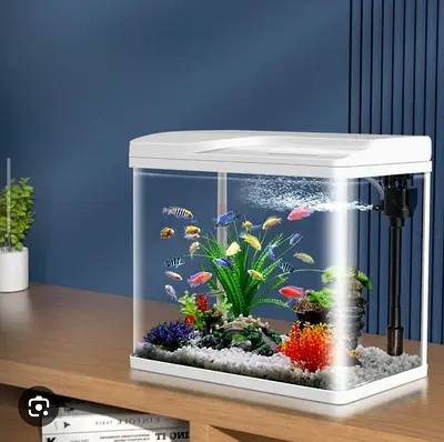 Stunning Fish Aquarium with Filter, Light  Oxygen