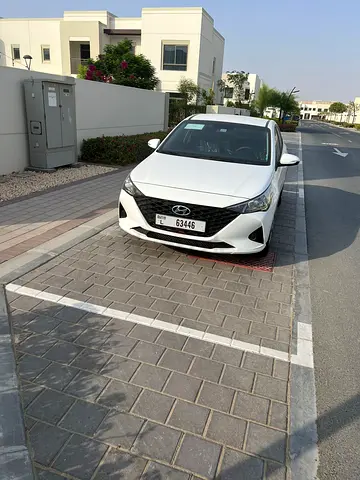 Back to School Promotion- Tabby/Tamara