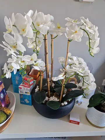 New Beautiful Artificial Orchid Plant for Home Decor