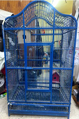 Spacious Blue Bird Cage for Sale