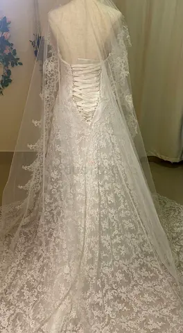 Elegant Lace Wedding Dress with Veil