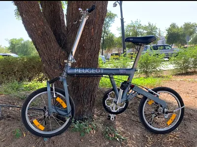 Folding Bike Peugeot pacific birdy