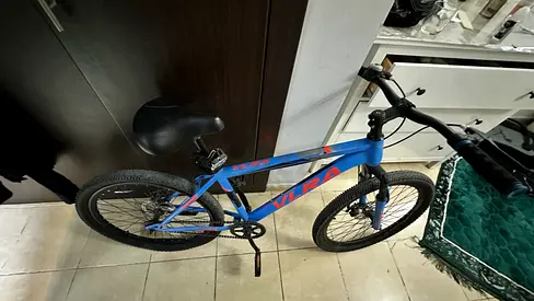 Vlra 24 inch mountain bike fixed gear