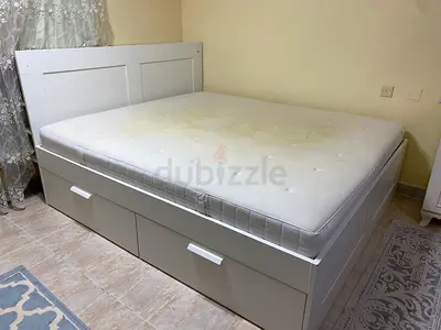 العين