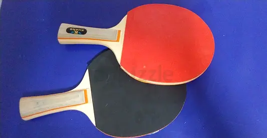 2-in-1 Foldable Professoinal Table Tennis Set
