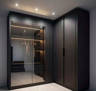Modern Black Armoire with Glass Panels