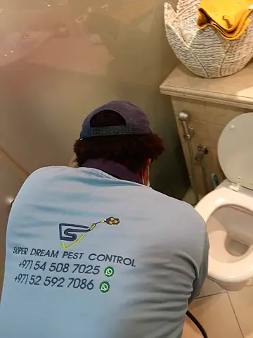 Pests in Your Home? Get Fast Pest Control