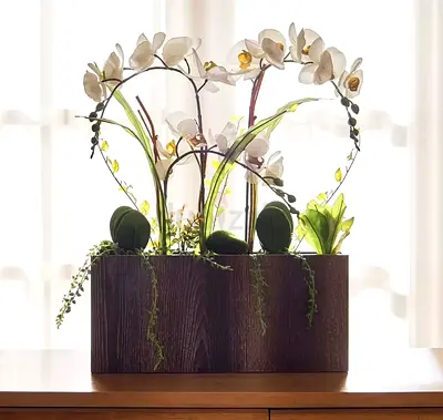 ORCHIDS . FREE DELIVERYElegant Decorative Plant Arrangement for Your Home