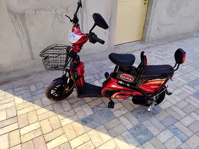 Electric Bike 35 speed 48V-48AH BATTERY 48V-12AH CHARGE (RED)