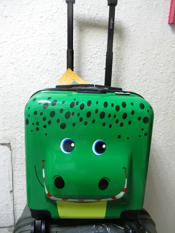 school hard trolley case new