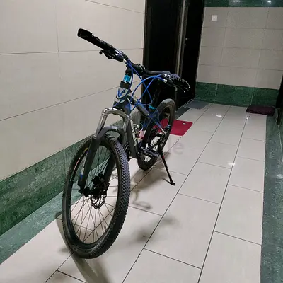 Aster Bicycle with Gears and Bottle Holder