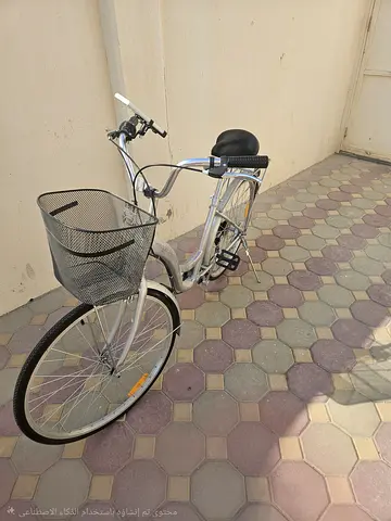Stylish Cruiser Bike with Basket